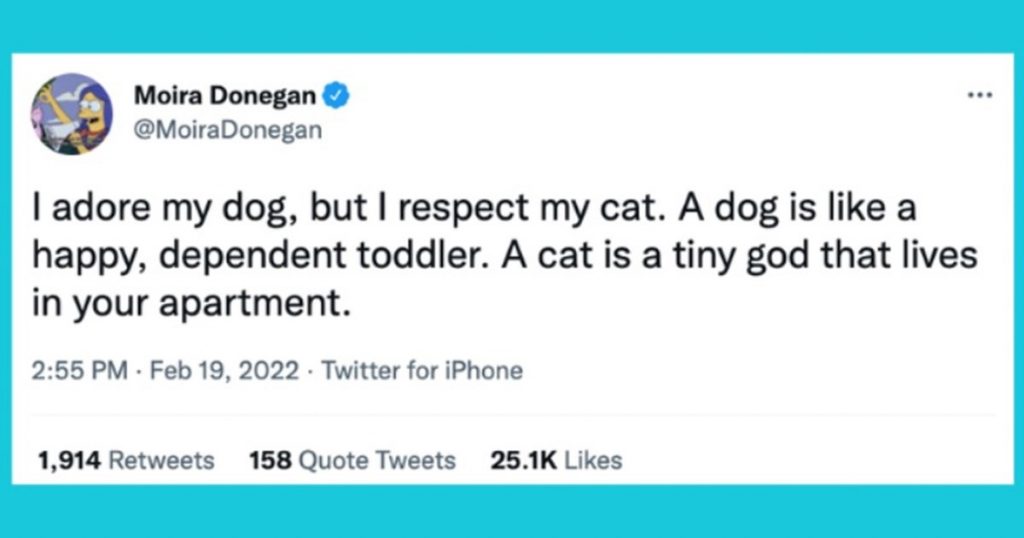 15 Tweets Of Pet Owners Showing How Wild Life With Pets Is