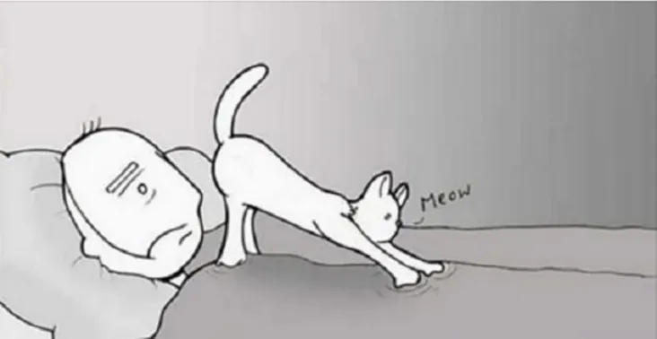 10 Hilarious And Relatable Comics That Purrfectly Sum Up The Life of a Cat Person
