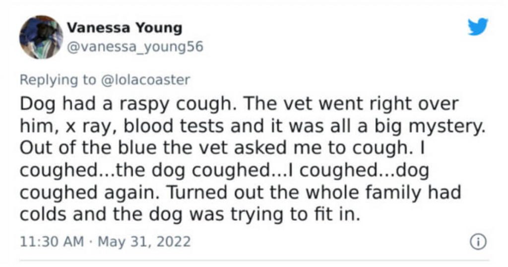 17 Pet Owners Share Their Pets Reason To Visit To The Vet That Are Too Hilarious