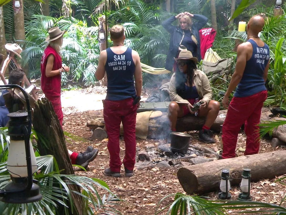 ITV's 'I'm A Celebrity' Camp Features 'Secret Roof' In 'Fake Jungle' To Protect Camera Equipment From The Elements