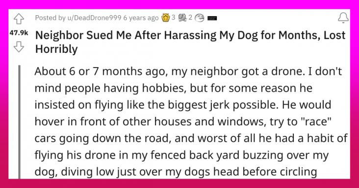 Guy Keeps Messing With His Neighbor’s Dog With A Drone, Gets His Comeuppance