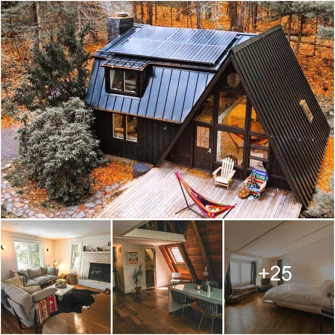Enchanting Black A-Frame Cabin in the Castkills