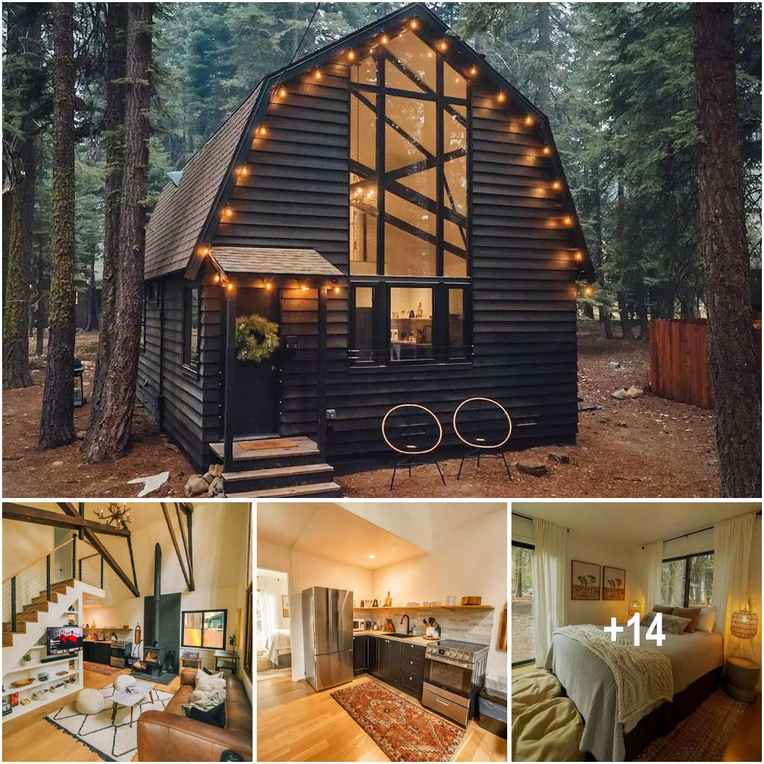 Cozy Hygge Barn Tiny Cabin