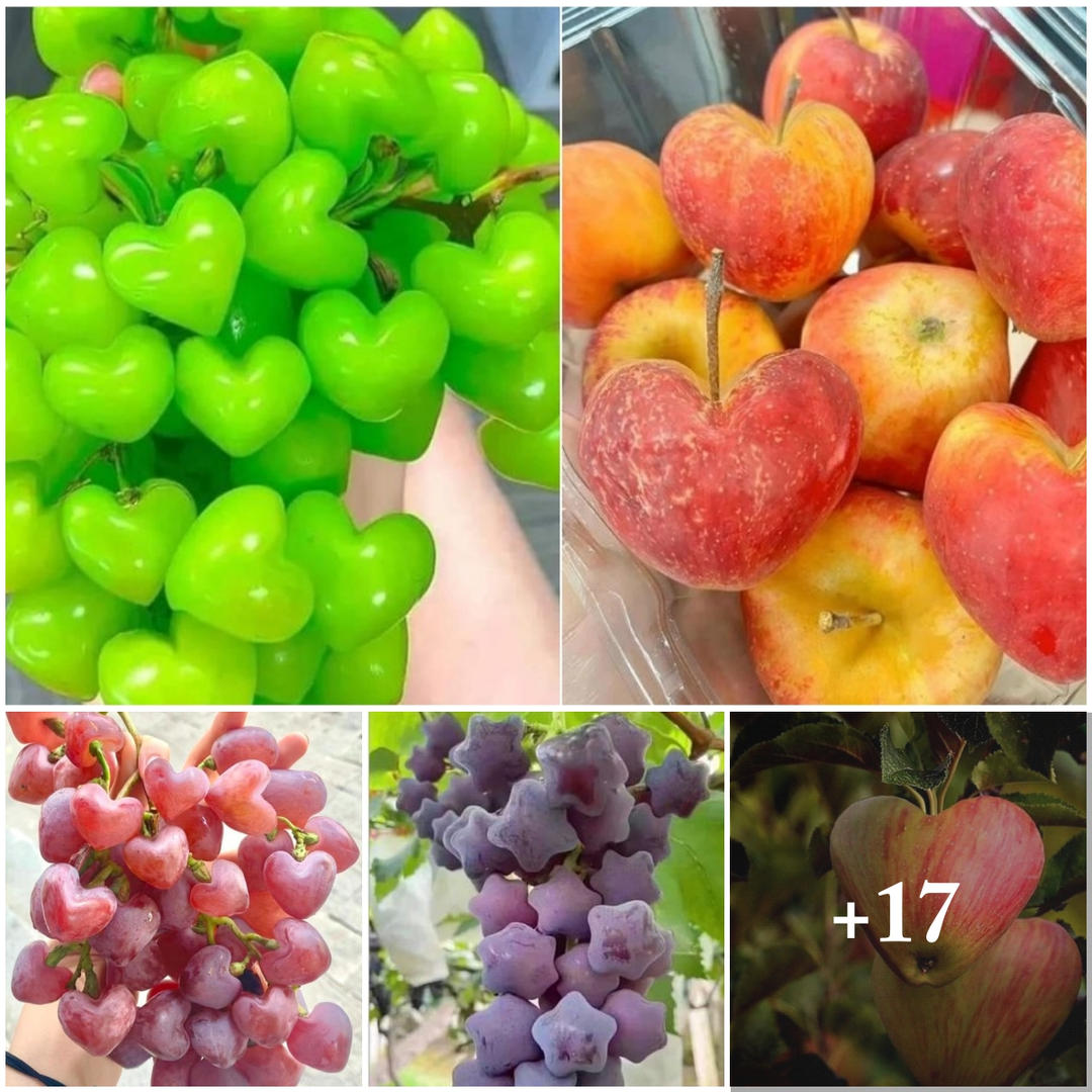 Nature’s playful creations: enthralling culinary adventure with heart and star-shaped fruits.