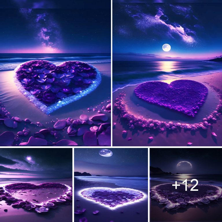 Enchanted by the Majesty of the Purple Beach