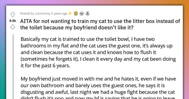 Boyfriend Wants Girlfriend To Litterbox Train Her Cat Who Is Trained To Use The Toilet, Girlfriend Refuses