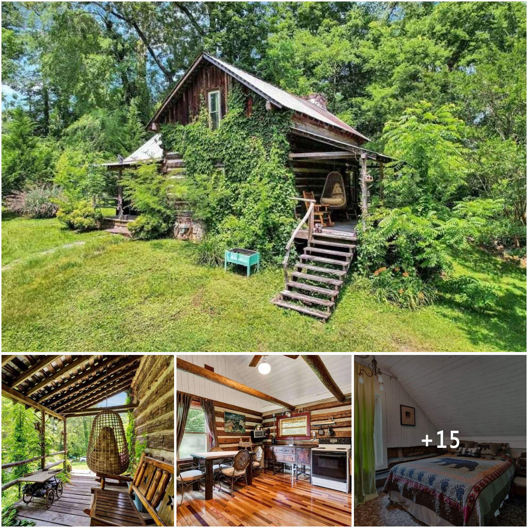 Enchanting Log Cabin Amidst Towering Trees
