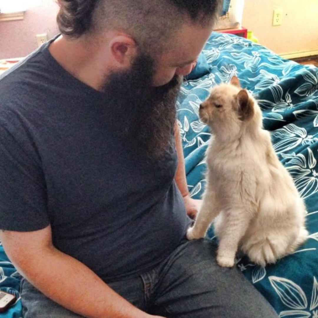 A 17-Year-Old Abandoned Cat Was Now Adopted And Can’t Express Her Gratitude Enough