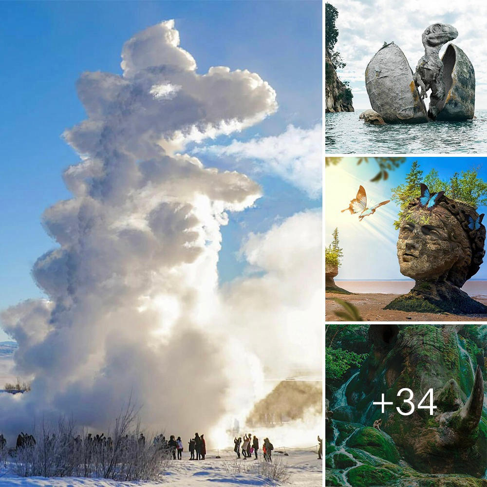 Nature’s Astonishing Mimicry: Hyper-Realistic Shapes Eerily Resembling Humans and Animals