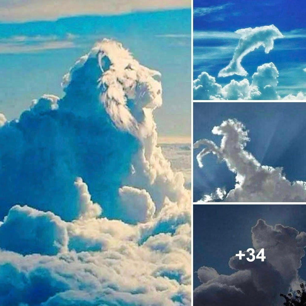 Revealing Nature’s ѕeсгet Artistry: Enchanting Photographs of Ьгeаtһtаkіпɡ Cloud Formations