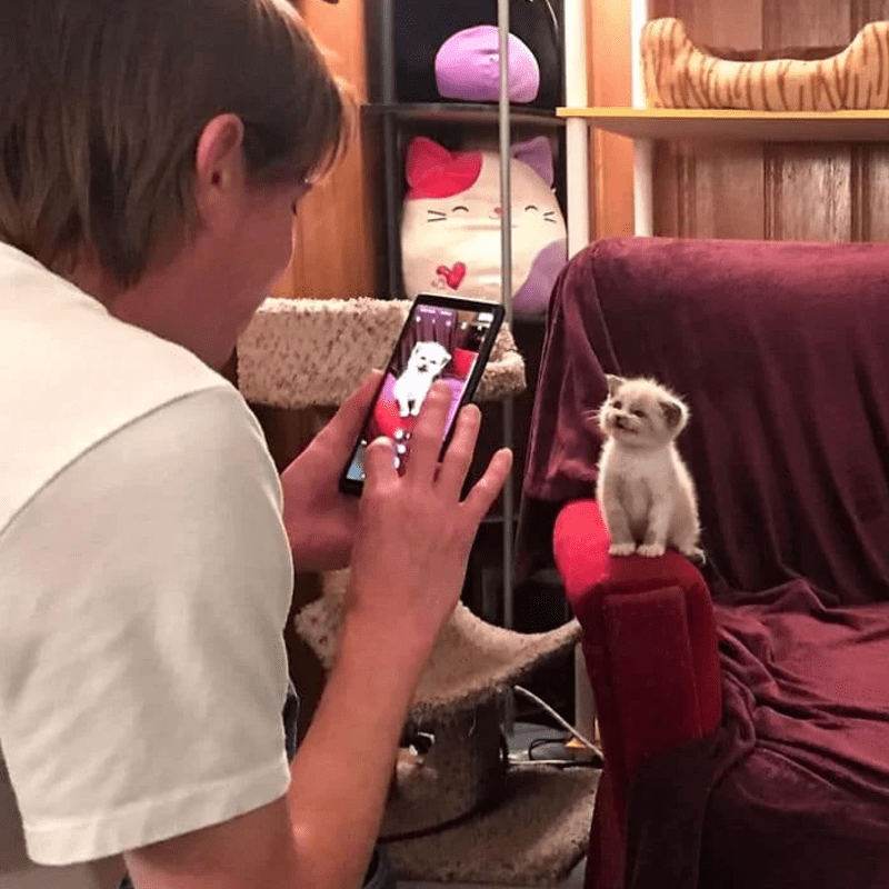 A Cute Foster Kitty Smiles for the Camera and Breaks the Internet, Blossom the cute foster kitty has had a rough time since she was born. The cute kitty never gave up, though. Her foster mother, Lauren Boutz