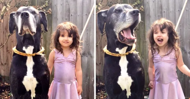 17 Dog Pics That Will Improve Your Mood, One Pup At A Time