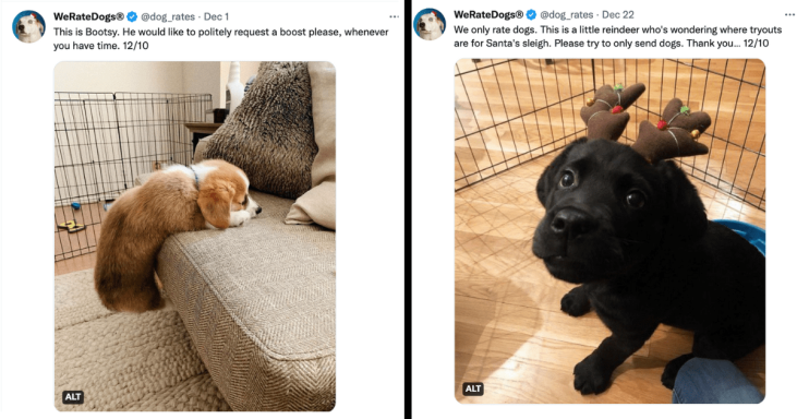 18 New Dogs As Rated By We Rate Dogs That Are Too Pure For Us