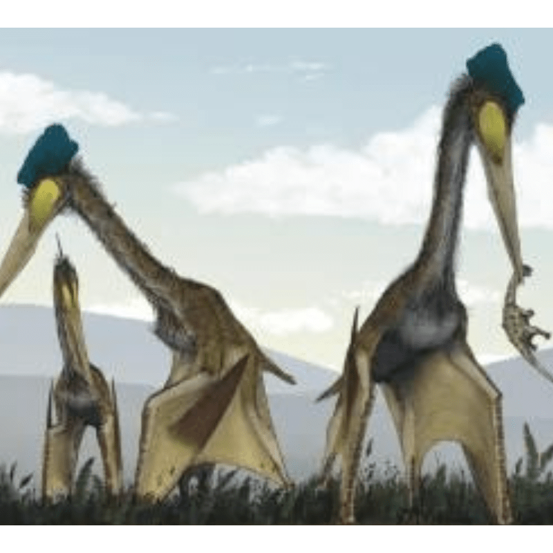 Argentina Unearths Ancient ‘Dragon of Death,’ a Massive Flying Reptile Revealing Prehistoric Wonders