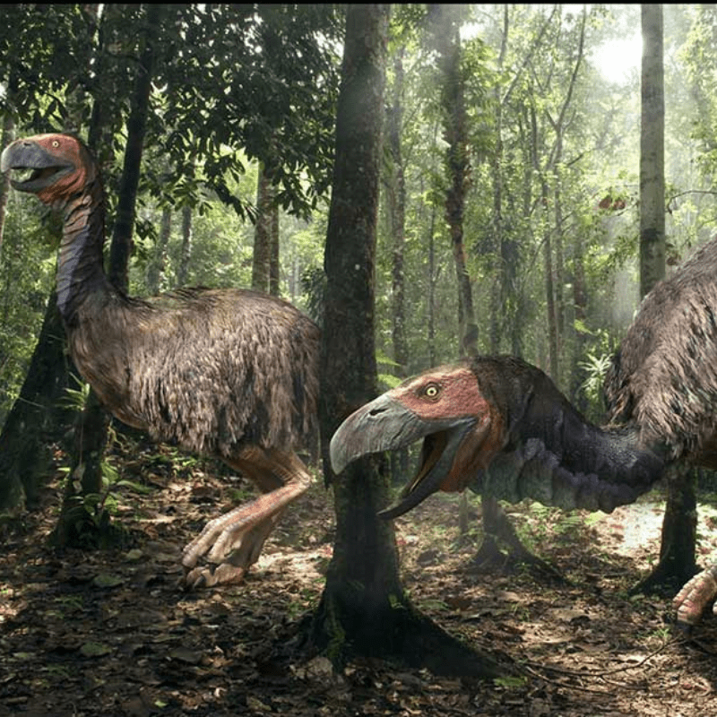 53 million years ago, a unique flightless bird, sporting an unusually large head, roamed the swampy Arctic regions, challenging our understanding of ancient avian species