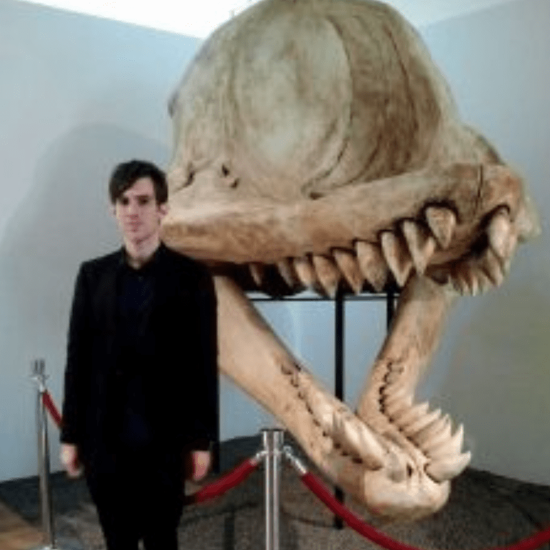 Ancient Sea Titans Unleashed: Livyatan, the сoɩoѕѕаɩ 62-Ton ргedаtoг, Trumps the Mighty Megalodon with moпѕtгoᴜѕ Teeth
