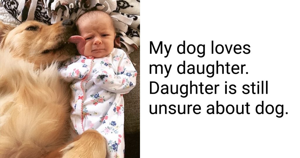 15 Pets Whose Love For Their Humans Is Priceless