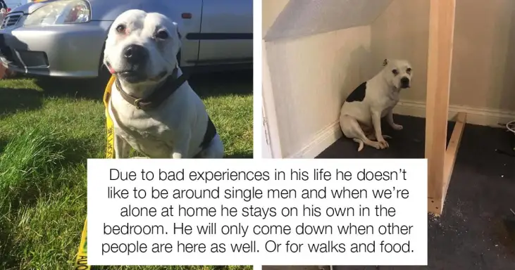 Man Confronts Pet Owner Living In Building That Doesn’t Allow Dogs