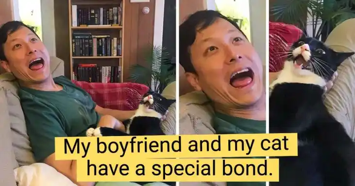 20 Wholesome Images That Show The Bond Between Humans And Their Pets