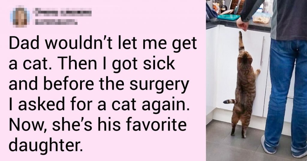 20 Men Who Said They Didn’t Want To Have Pets But Didn’t Keep Their Words