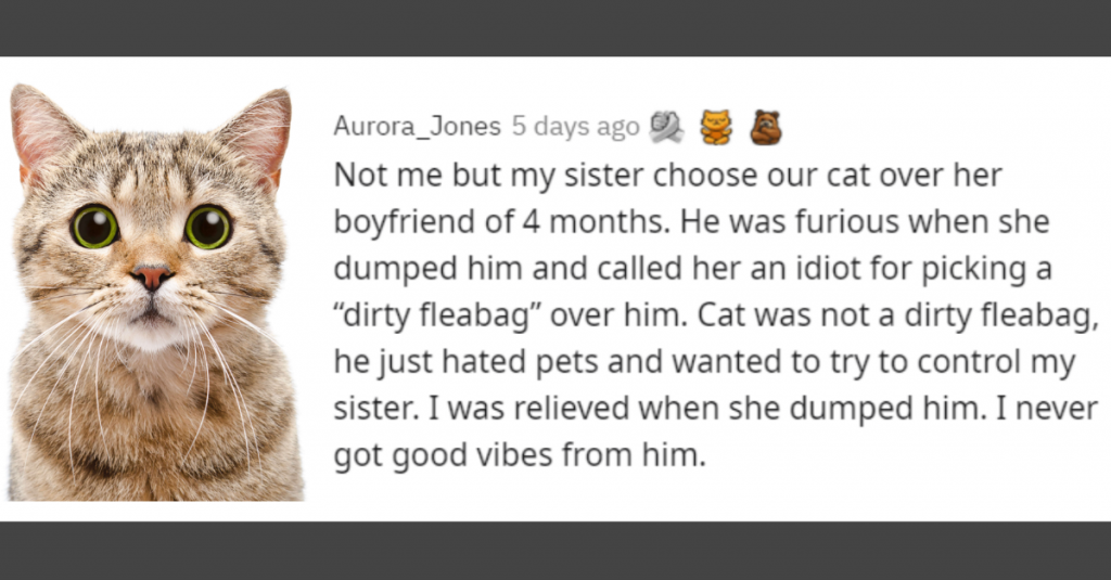 10+ Times People Had To Choose Between Partners and Pets