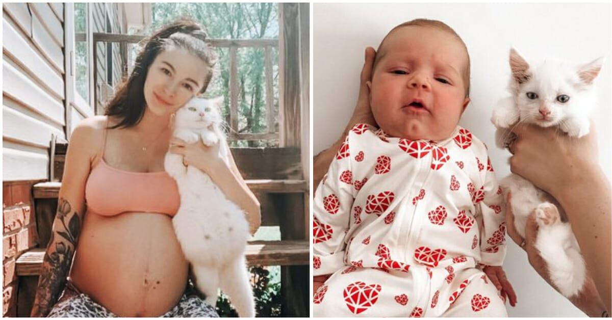 Pregnant woman forms bond with pregnant stray cat and the rest is history