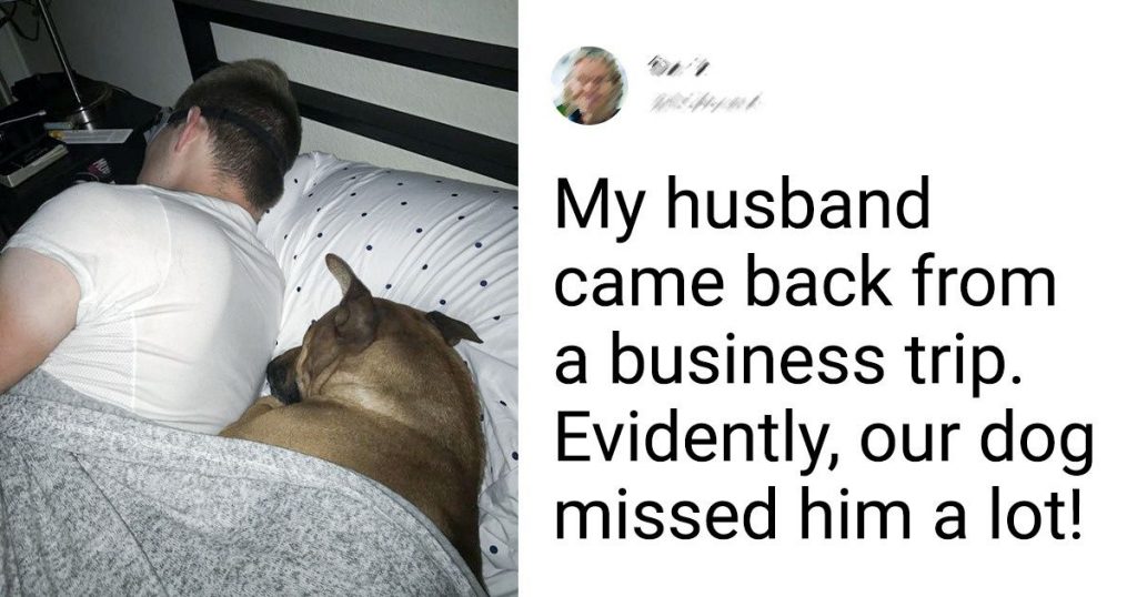 15 Wholesome Stories Of Unconditional Harmony Between People And Their Pets