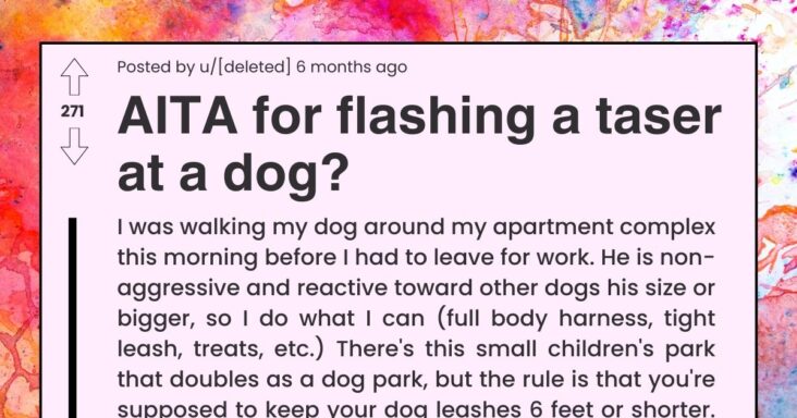 Woman Uses Taser Sound To Chase Away Aggressive Dog, Dog Owner Starts Yelling At Her