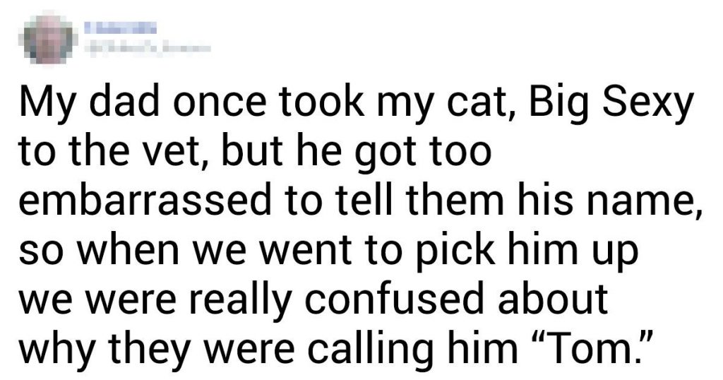 20 Wholesome Stories Shared By Owners About Their Pets’ Names