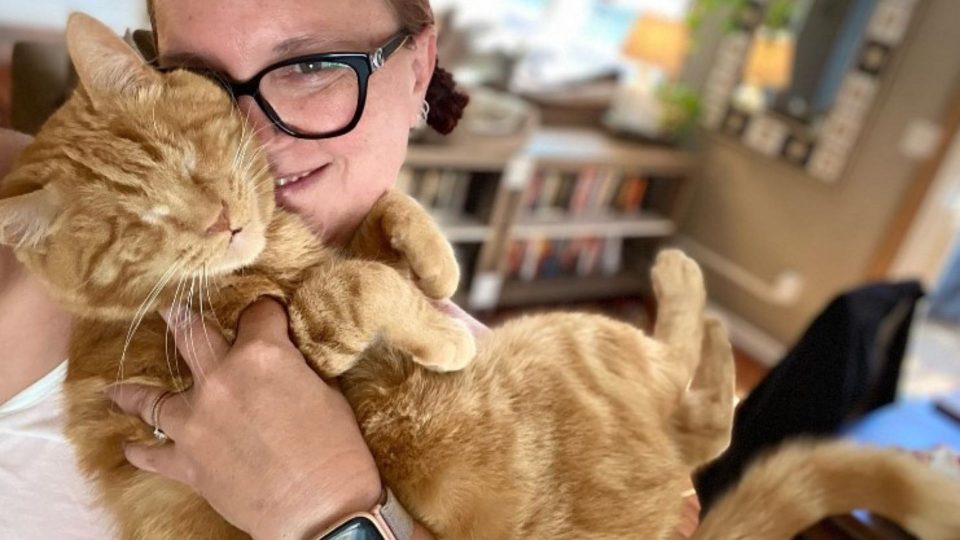 Ginger Cat Doesn’t Let His Blindness Stop Him From Living His Best Life