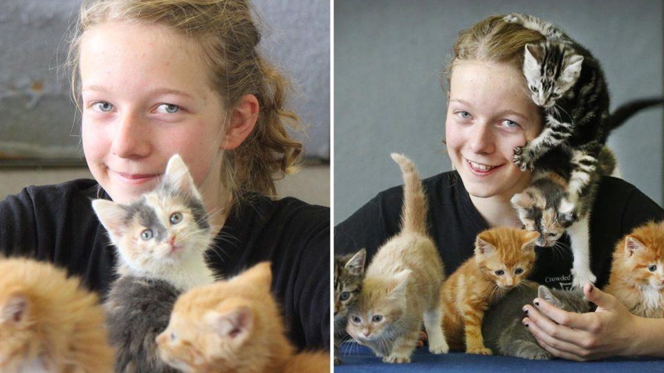 Girl Uses Birthday Money To Rescue 14 Abandoned Kittens