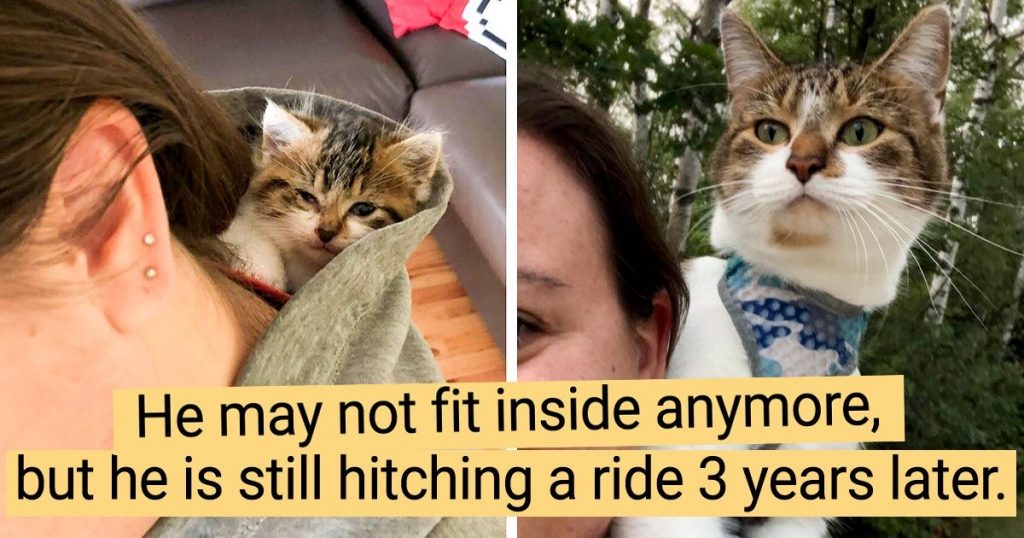 22 Of The Then Vs. Now Photos Of Pets Who Got Older But Still Act Like Babies
