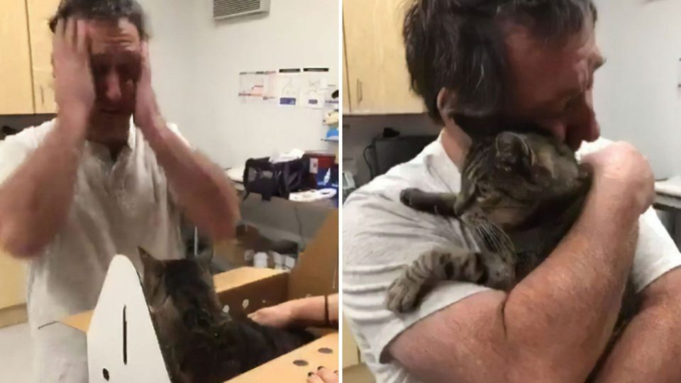 Man Is Reunited With His 19-Year-Old Cat Who Was Missing For 7 Years