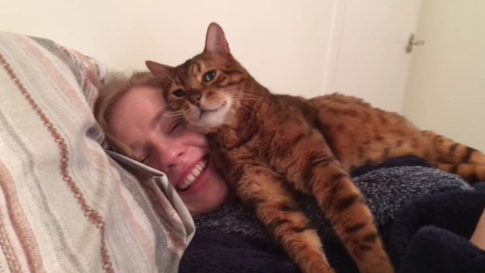 Man’s Girlfriend Gets The Purrfect Approval From His Cat Tonto (VIDEO)