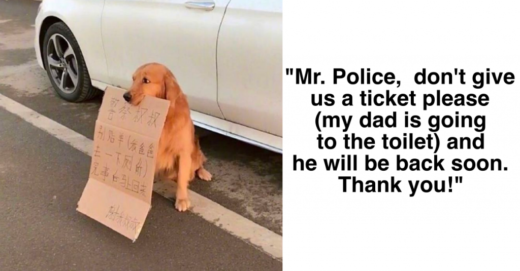18 Pets That Have Added So Much Fun In Their Owner’s Lives With Their Hilarious Acts