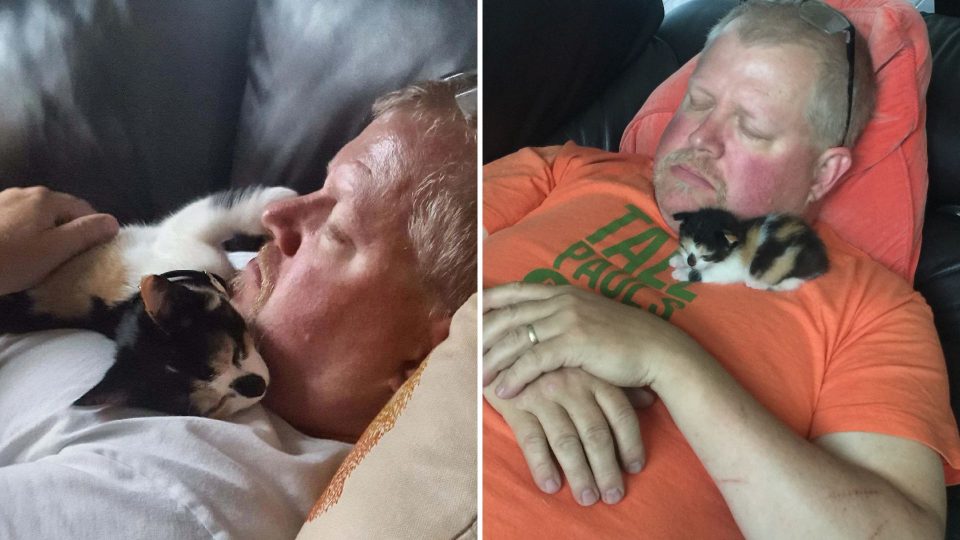 Study Finds That Cats Bond To Their Humans Just As Much As Dogs