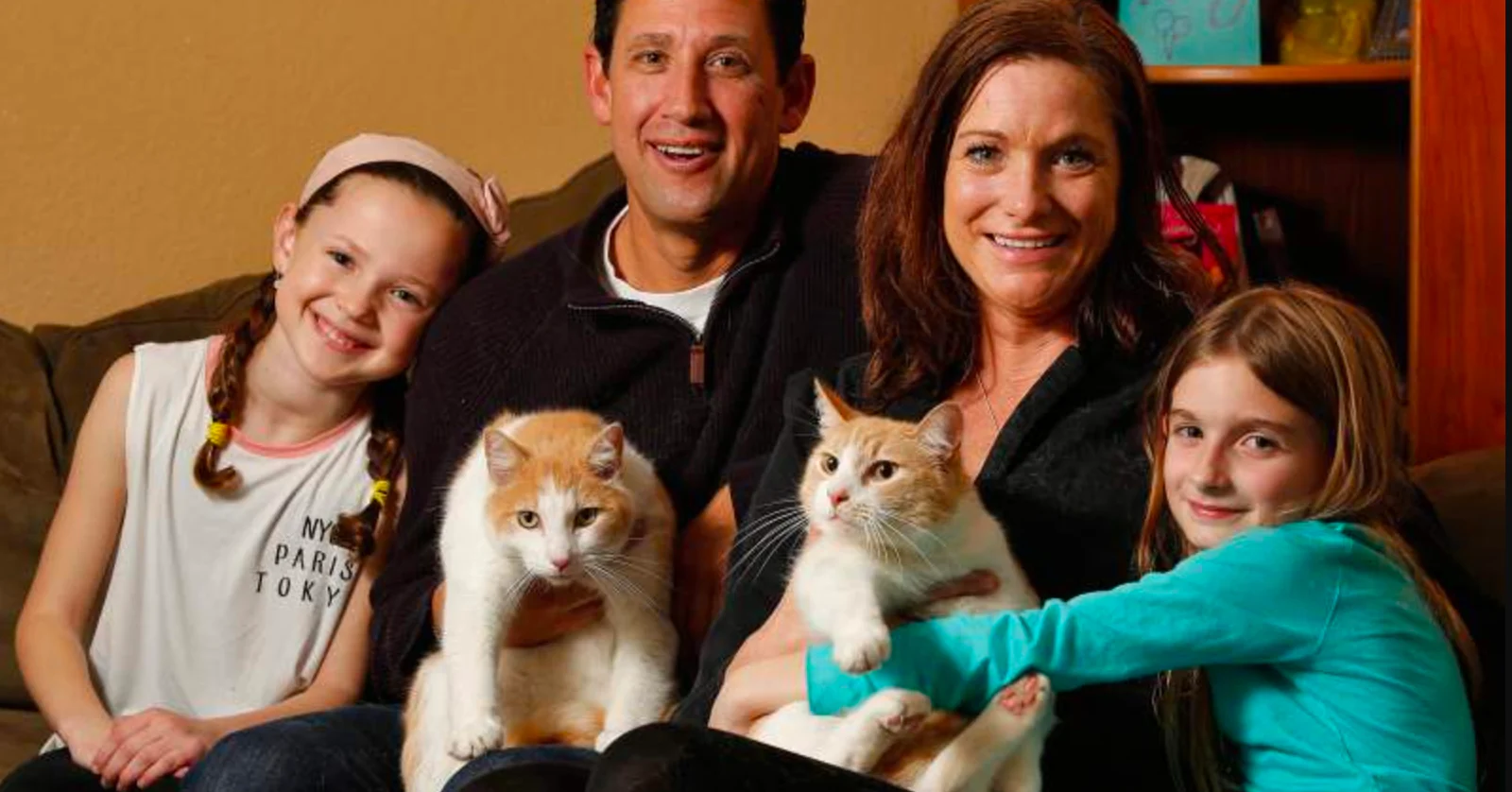 Kitty Gets Adopted And Reunites With Her Long-Lost Brother