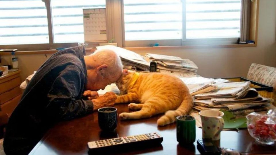 Girl Gets A Cat For Her Sick Grandpa And It Changes His Life