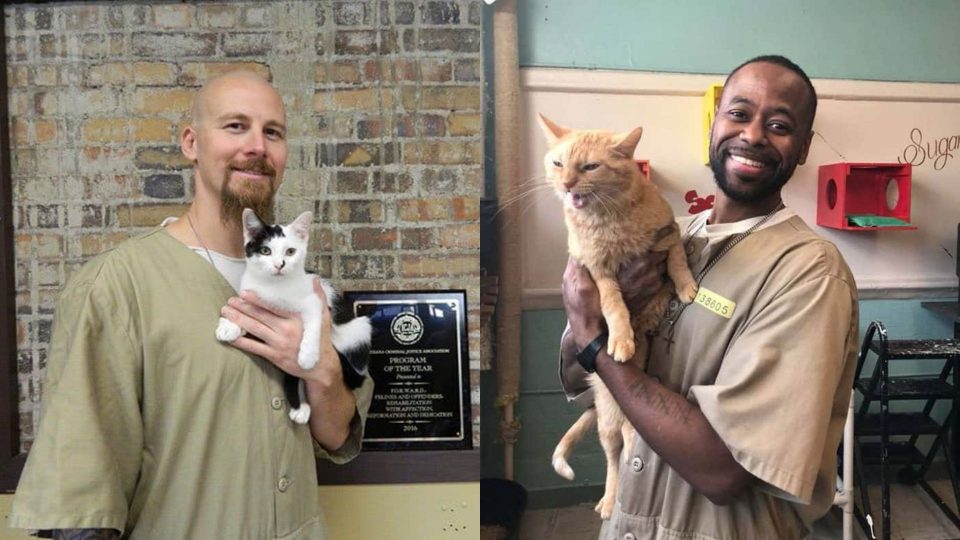 This Indiana Prison Accepts Shelter Cats Who Change Prisoners’ Lives