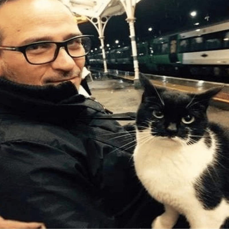 Cat Comes to Train Station Every Day To Greet Travelers, South London to greet passengers and give them cuddles while they are awaiting their train