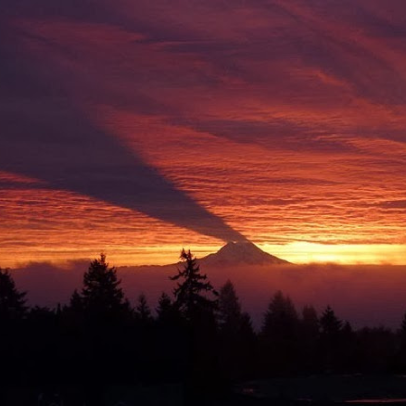 The rare moment when Mount Rainier casts a shadow on the clouds creating a scene like in the movies