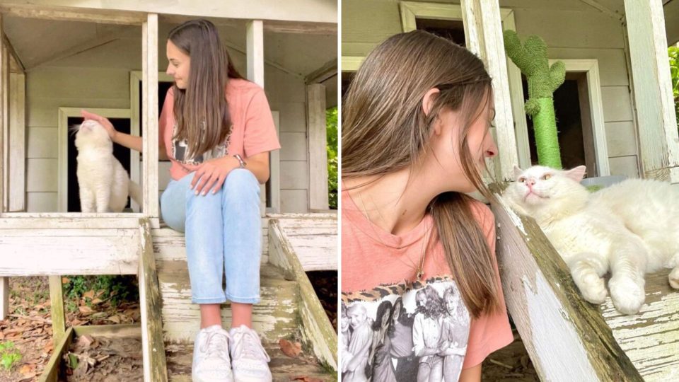 Woman Finds Out Her New Home Comes Packed With A Chicken Coop Full Of Cats