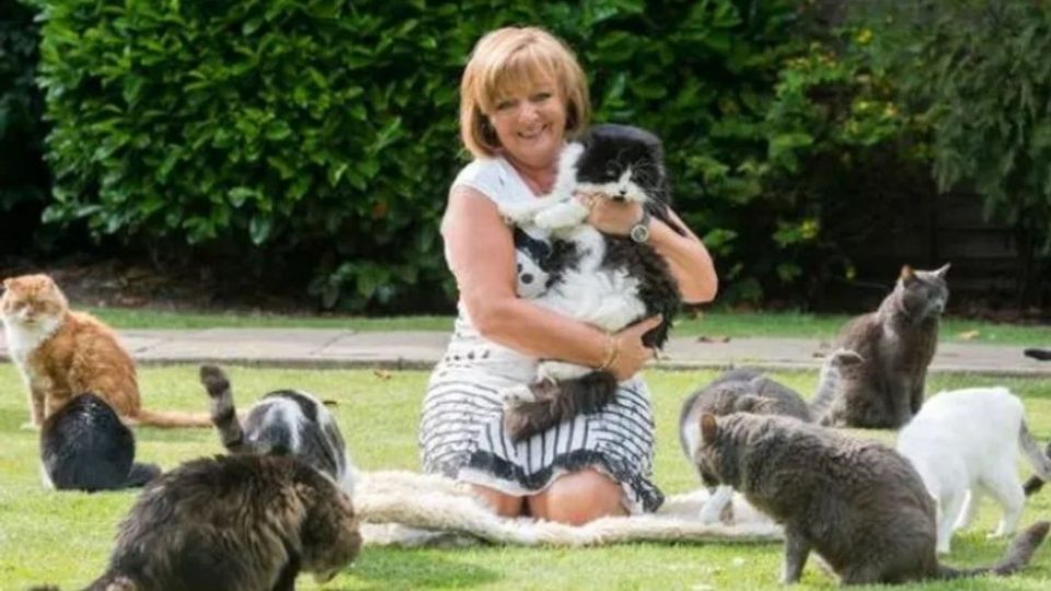 Woman Spends $142,000 A Year Caring For Rescue Cats